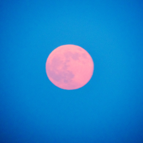 e0321032_13311635.jpg