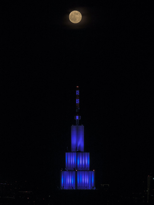 e0321032_1332010.jpg