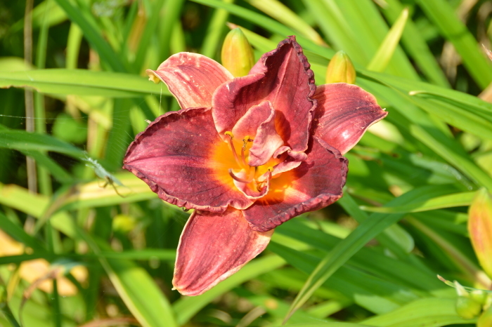 c0172234_23371383.jpg