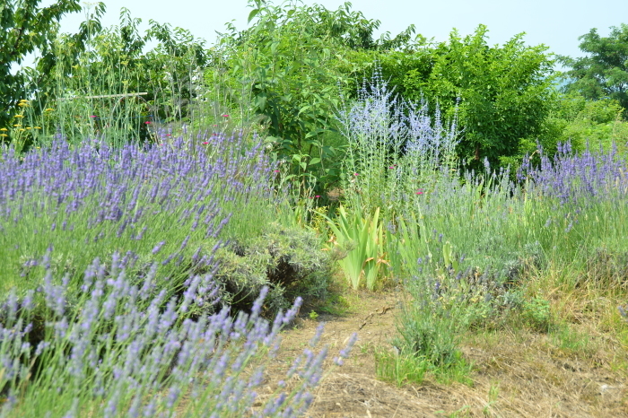c0172234_23373633.jpg