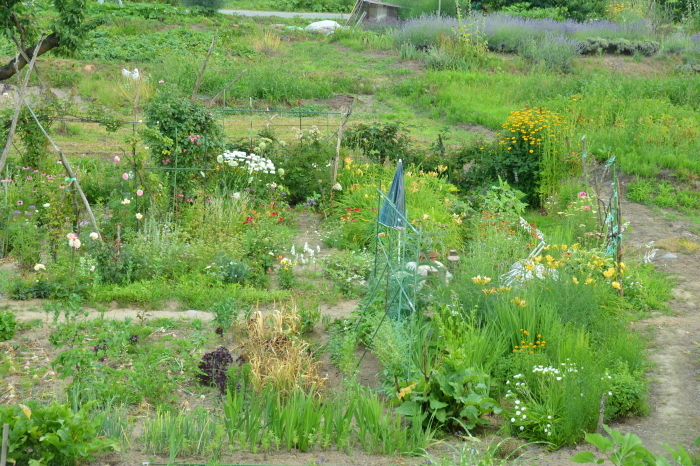 c0172234_23381847.jpg