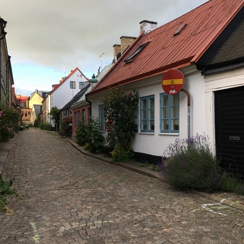 d0182744_1721198.jpg