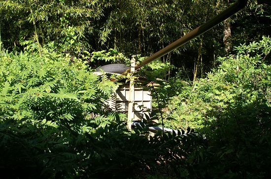 f0114346_07041052.jpg