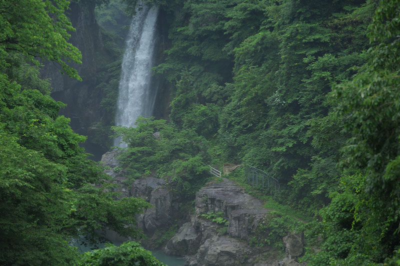 d0342652_1524141.jpg