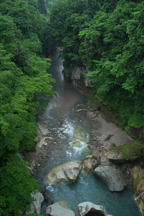 d0342652_15575342.jpg
