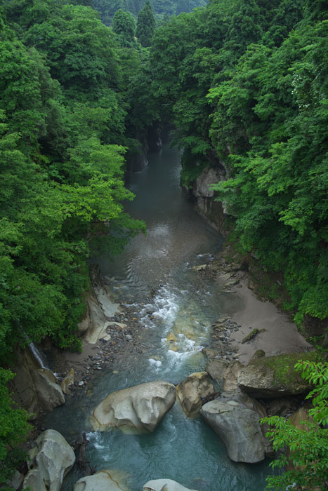d0342652_15593670.jpg