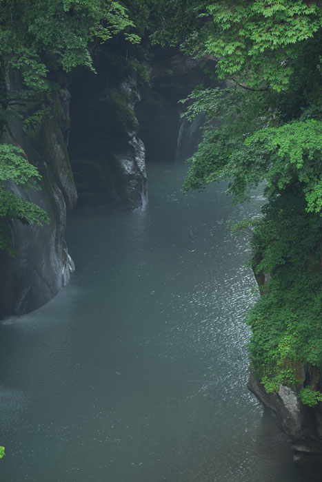 d0342652_1602778.jpg