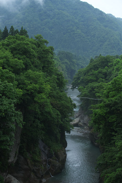 d0342652_1613324.jpg