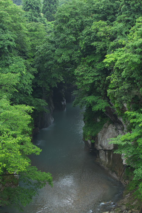 d0342652_161769.jpg