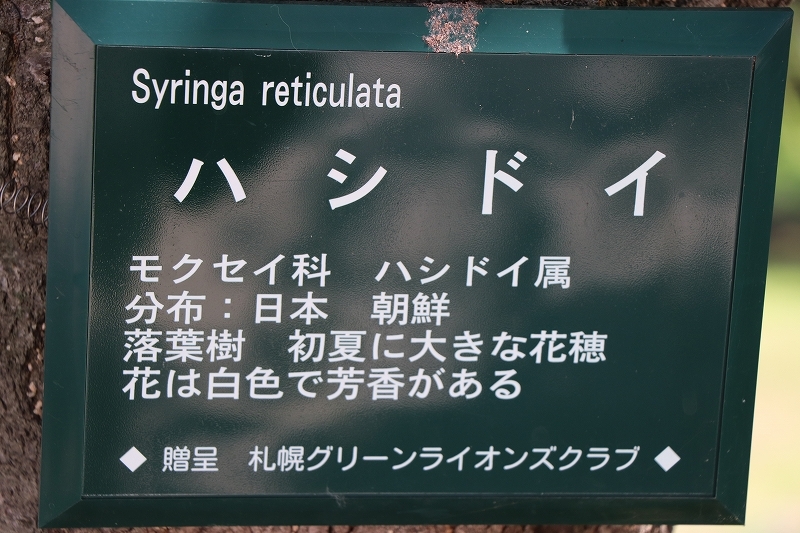 b0250154_05402511.jpg