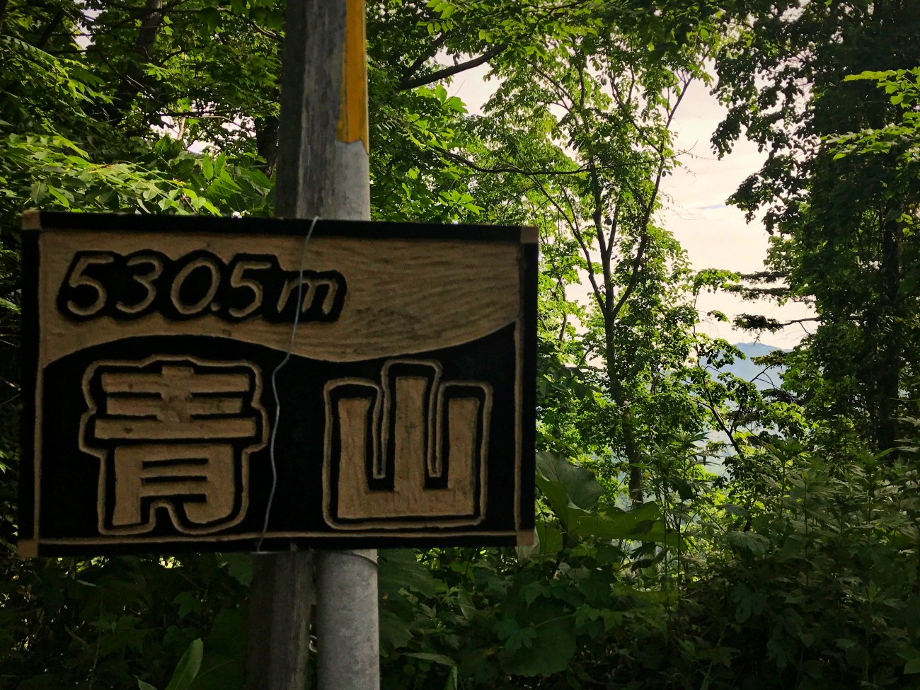 e0105954_1330397.jpg