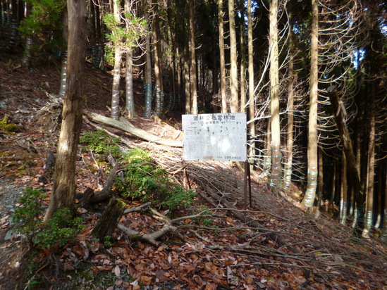 d0231858_11451236.jpg