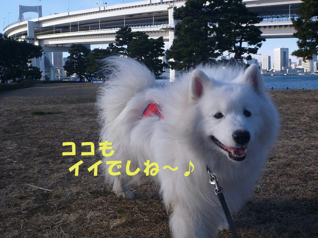 e0176159_11491703.jpg