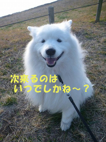 e0176159_11515976.jpg