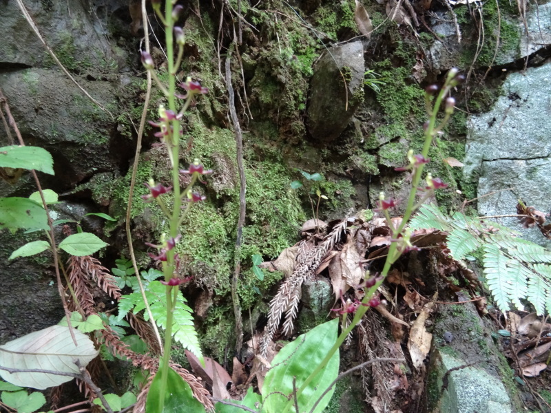 c0108460_22430064.jpg