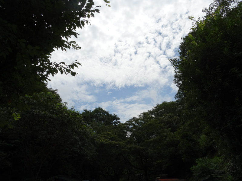 c0108460_22434666.jpg