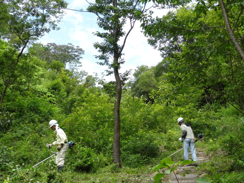 c0108460_22441579.jpg