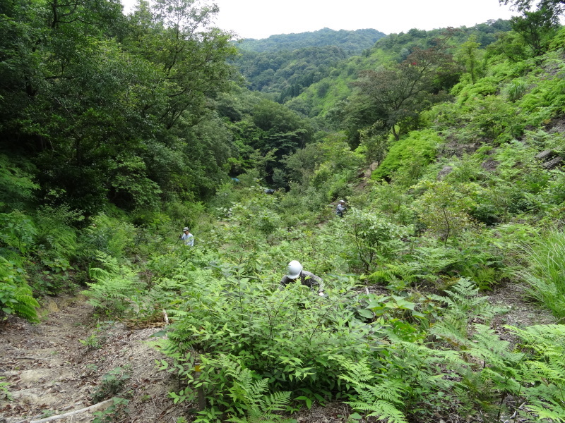 c0108460_22452597.jpg