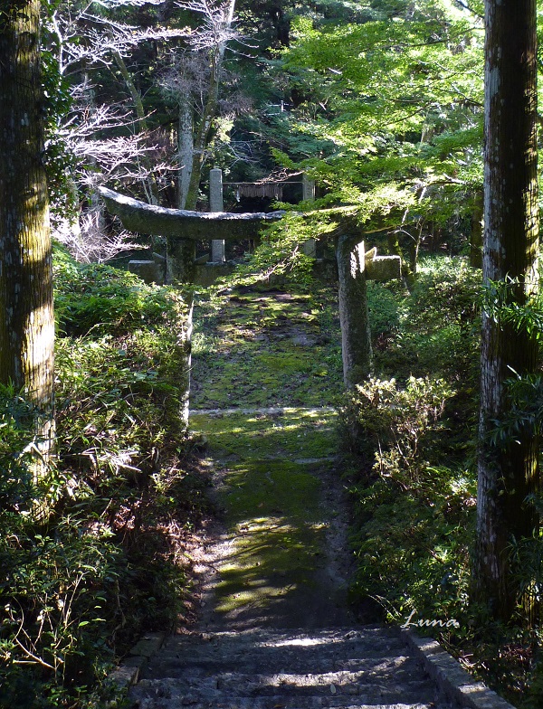 c0222861_2041483.jpg