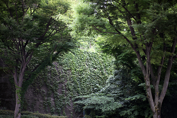 e0076761_00535369.jpg