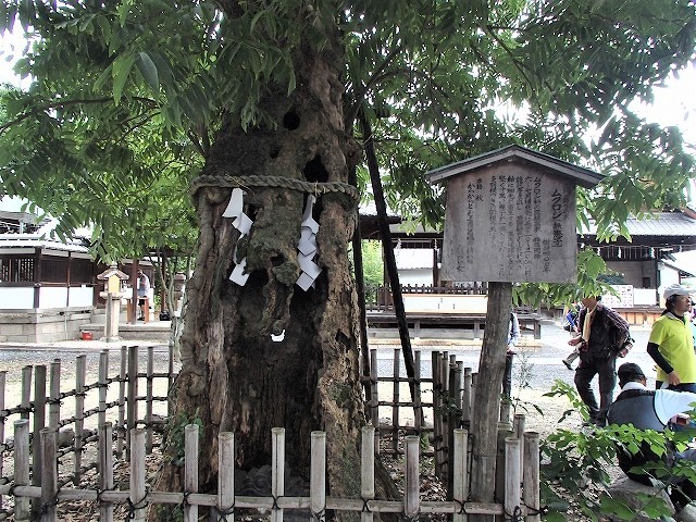 b0044663_16505458.jpg