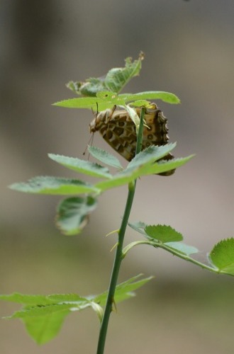 c0186463_00085410.jpg