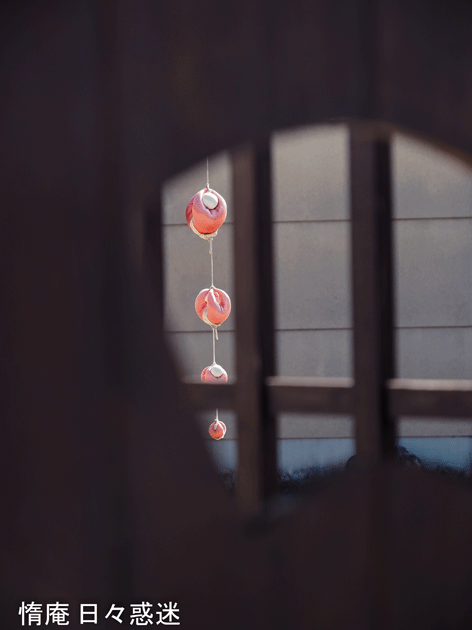 e0346064_16344056.gif