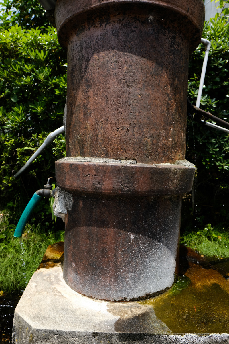 c0084666_22373271.jpg