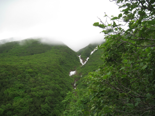 c0219866_14492585.jpg