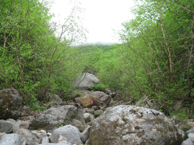 c0219866_14503285.jpg