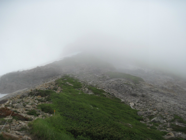 c0219866_14551115.jpg
