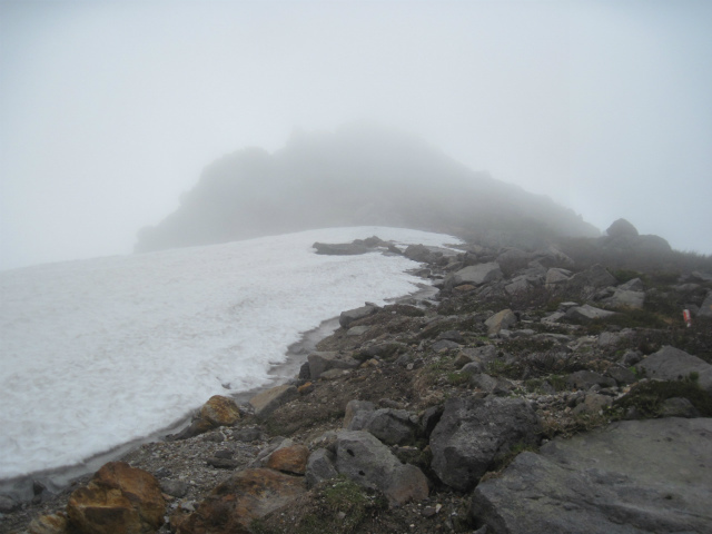 c0219866_14554455.jpg