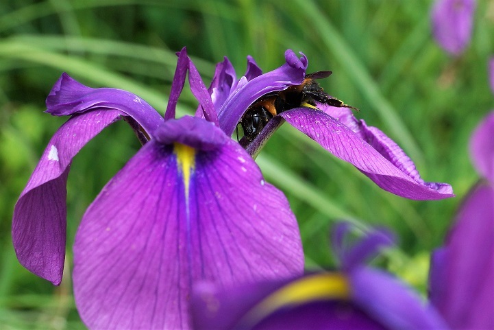 c0248473_20333313.jpg