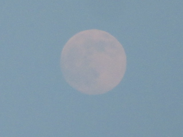d0109373_21224473.jpg