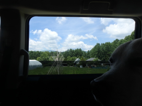 f0052277_23443876.jpg