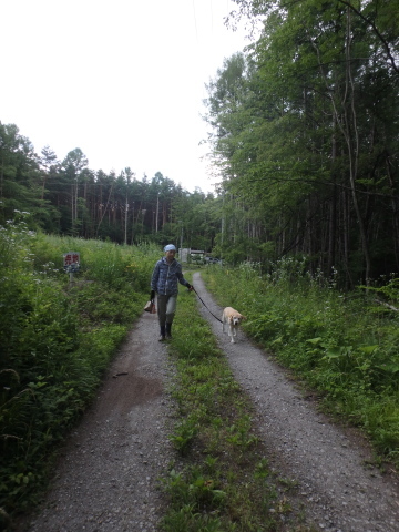 f0052277_23492775.jpg