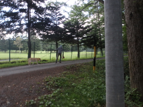 f0052277_23541013.jpg