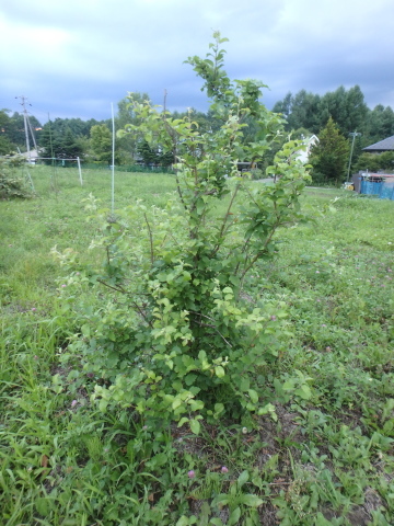f0052277_23571403.jpg