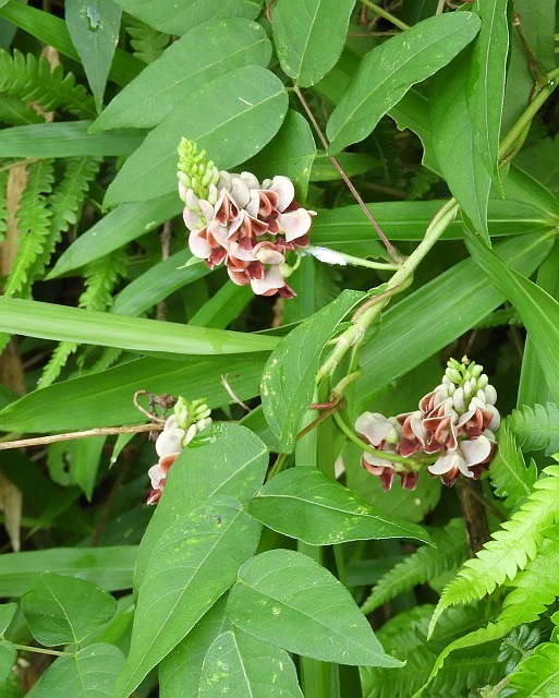f0378979_12585401.jpg