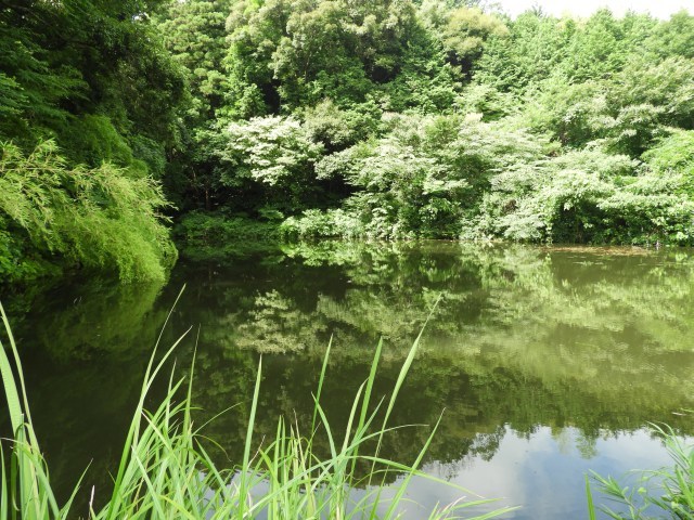 f0378979_13342743.jpg