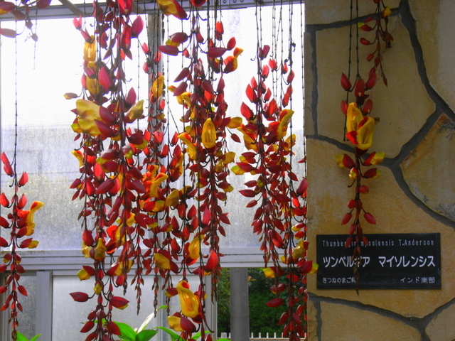 e0361081_17063542.jpg