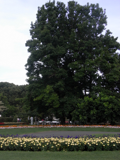 e0361081_17145599.jpg