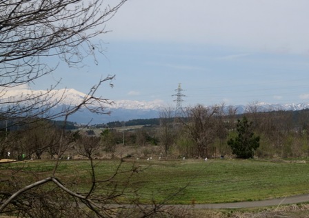 a0208783_21121521.jpg