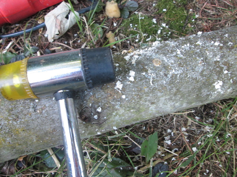a0172884_09003855.jpg
