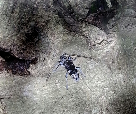 f0183484_07345057.jpg
