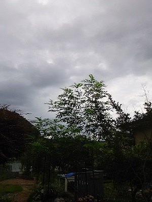 b0266191_11130620.jpg