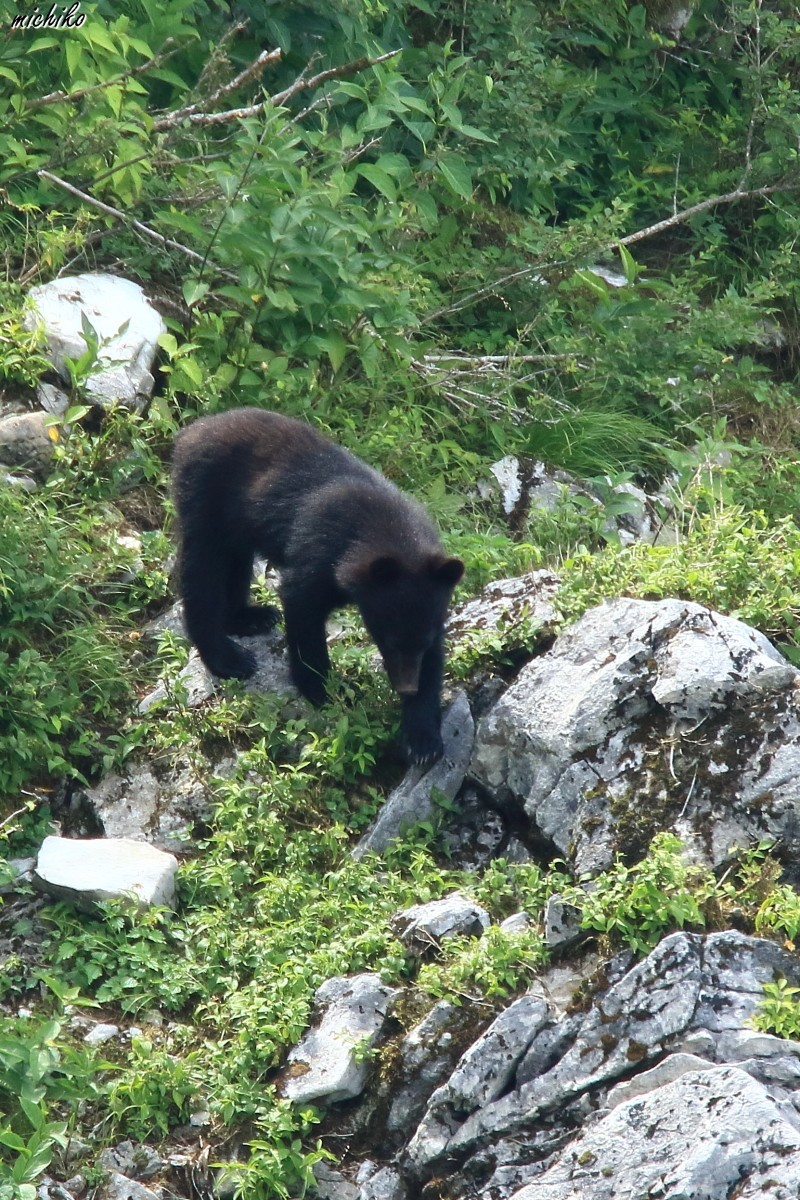 d0352095_19511717.jpg