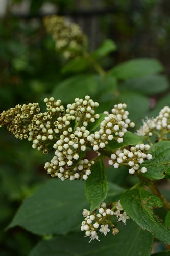 a0240403_10234731.jpg