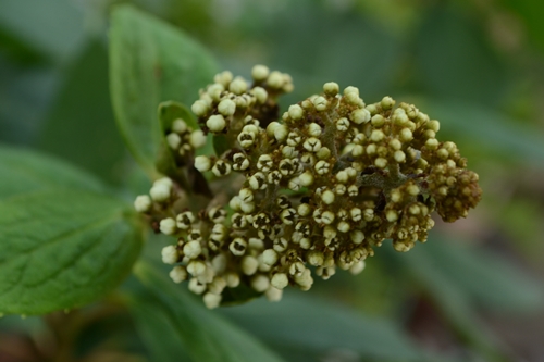 a0240403_10421828.jpg
