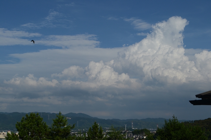a0240403_9525290.jpg